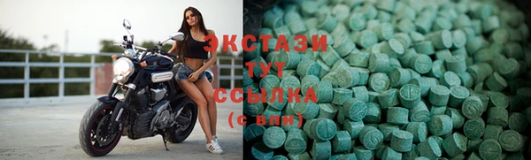 гидра Горняк