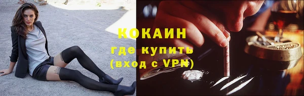 кокс Вяземский
