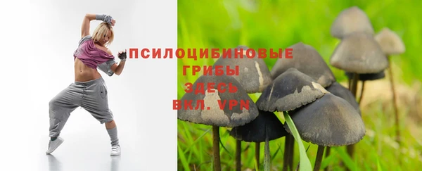 mdpv Вязники