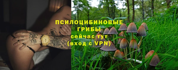 кокс Вяземский