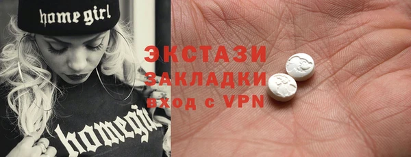 гидра Горняк